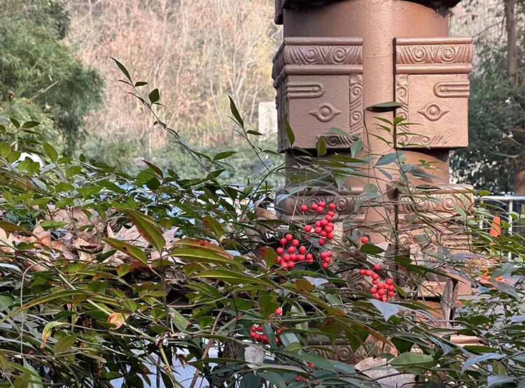 沈陽(yáng)文化墻設(shè)計(jì)的要點(diǎn)？